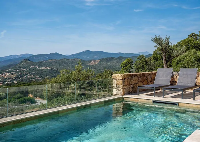 Toci * קלקטוג'יו