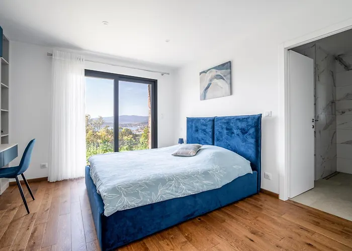 Toci * קלקטוג'יו